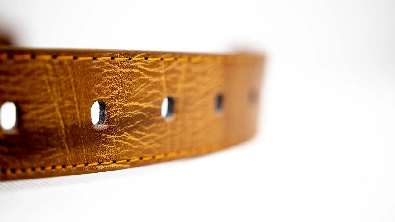 Polo Louie Pin Buckle Belt